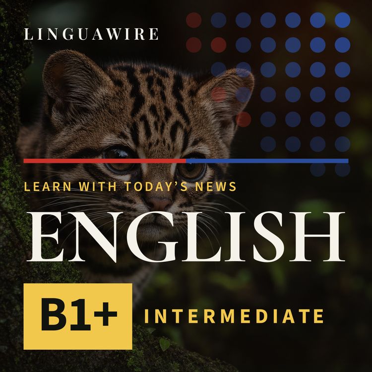 cover art for B1 English News | New Cat Species Found After 100 Years
