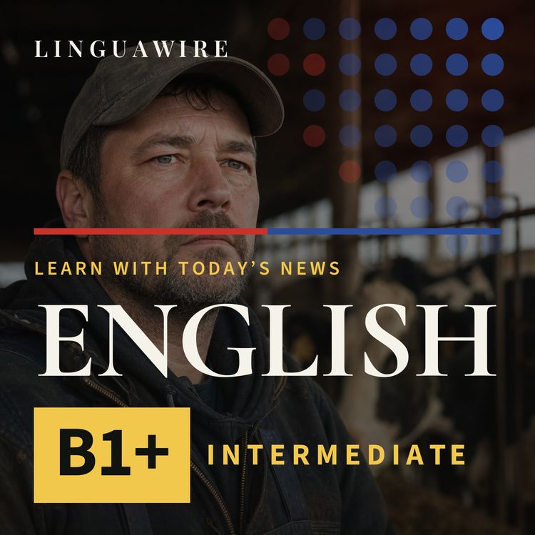 cover art for B1 English News | Can Canadian Dairy Farmers Absorb Trump's Tariff Shock?