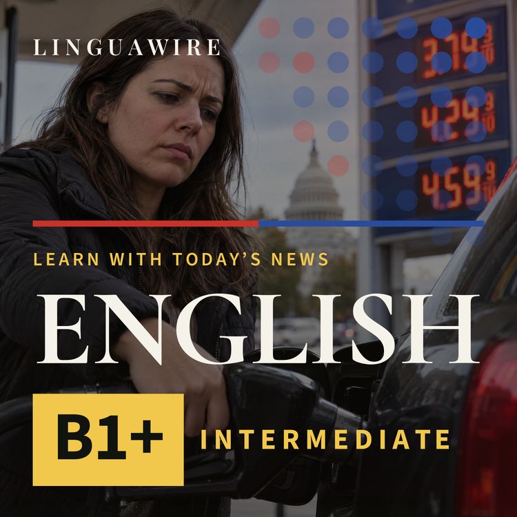 cover art for B1 English News | U.S. Inflation Reaches 3.7% Before Midterm Elections
