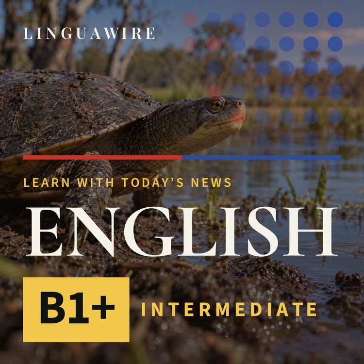 cover art for B1 English News | Turtle Eggs Bring New Life to Australian Wetlands