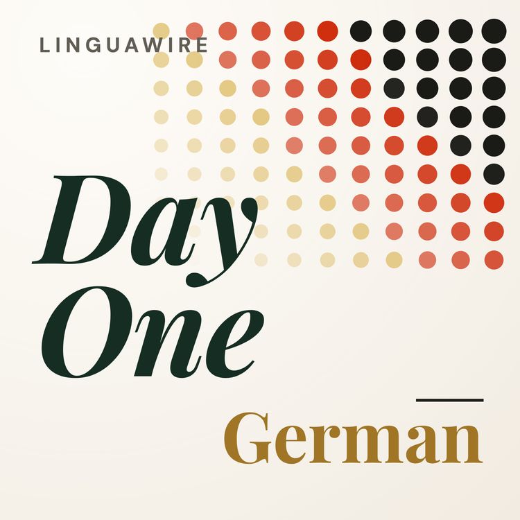 cover art for Day 1: The verb sein and the German number trick