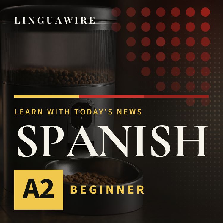 cover art for A2 Spanish News | Can Petlibro Win Back Pet Owners After Outage?