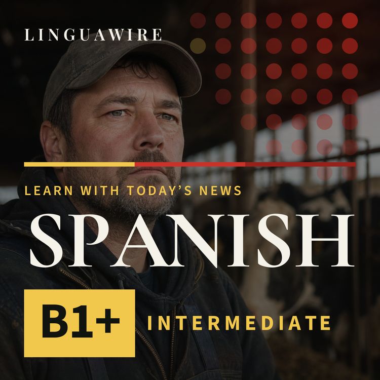 cover art for B1 Spanish News | Can Canadian Dairy Farmers Absorb Trump's Tariff Shock?