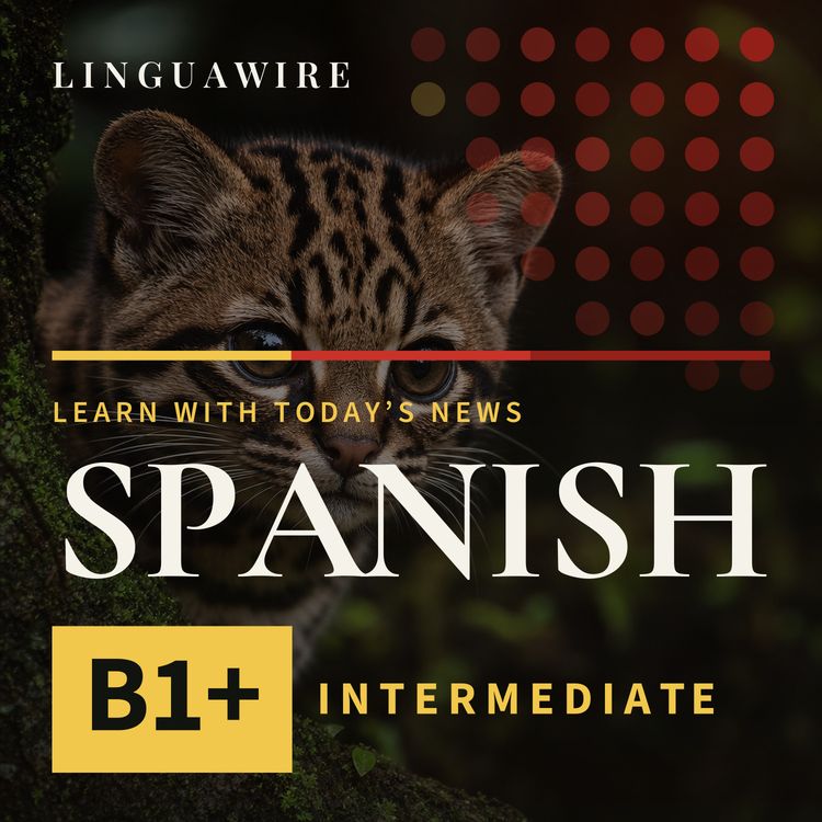 cover art for B1 Spanish News | New Cat Species Found After 100 Years