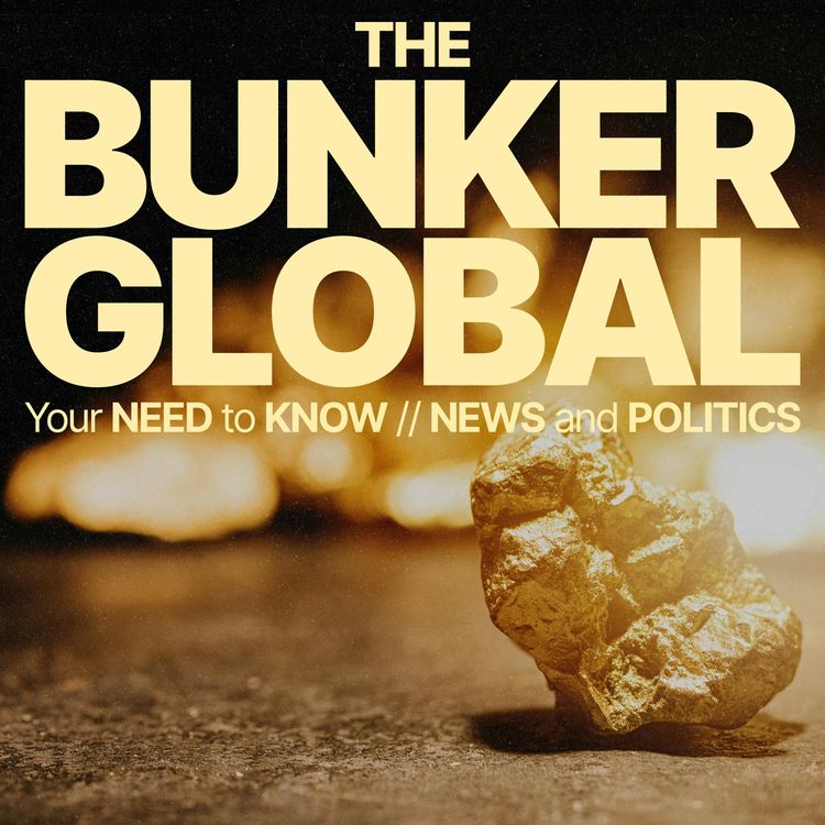 cover art for ‘Gun fights and mass graves’ – Inside South Africa’s deadly illegal gold mines