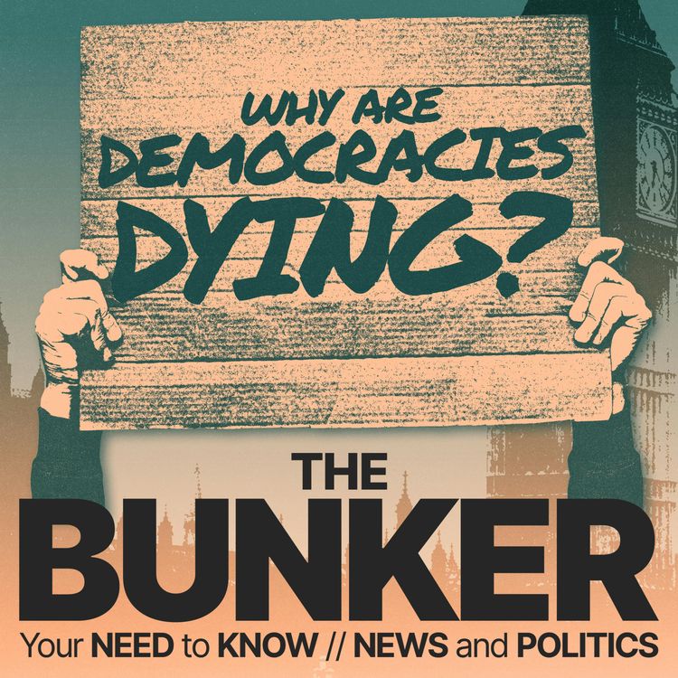 cover art for Why are democracies dying?