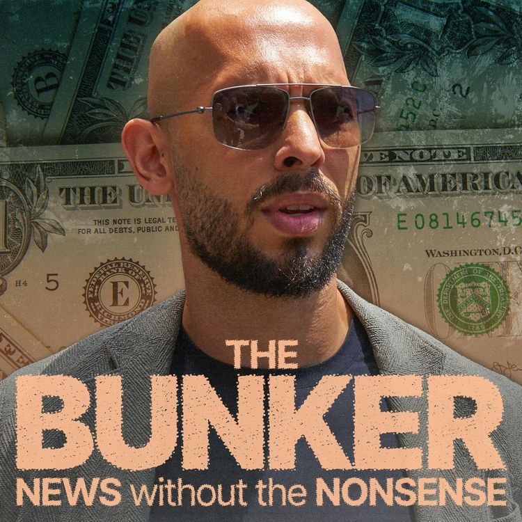 cover art for Profits of Rage – Why the Manosphere is a pyramid scheme