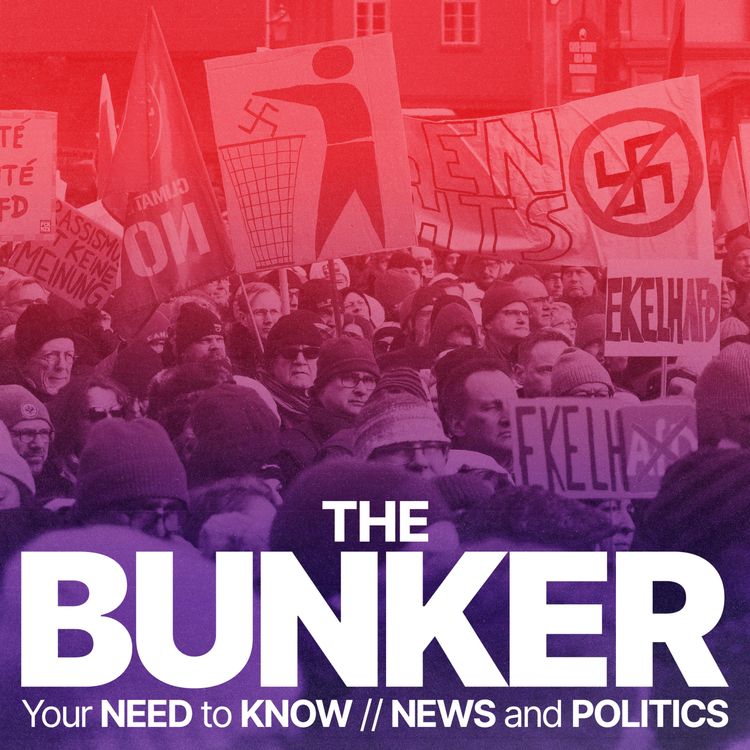 cover art for Germany's far-right problem: Are the AfD Nazis?