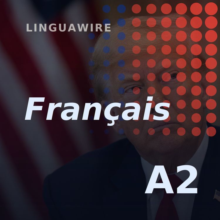 cover art for A2 French News | Trump's 50% Tariffs Put Canada on Alert
