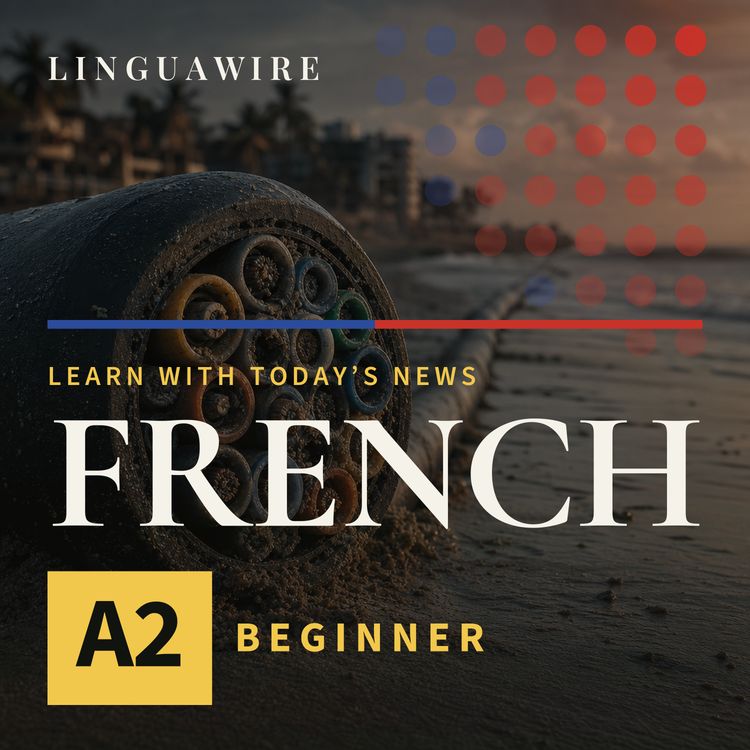 cover art for A2 French News | Can India's Internet Handle One Weak Spot?