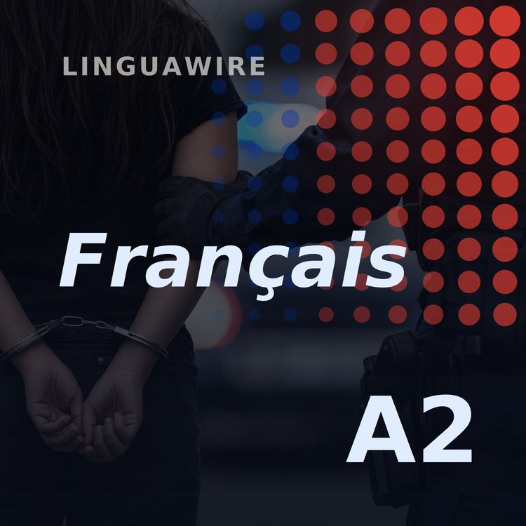 cover art for A2 French News | Over 1,000 Arrested in Global Human Trafficking Crackdown