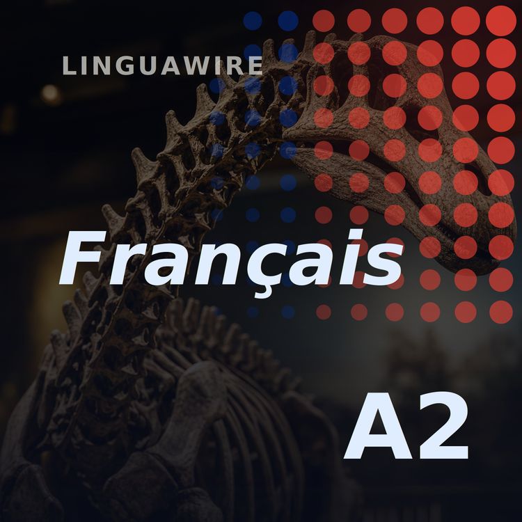 cover art for A2 French News | A 20m Dinosaur Found in Thailand