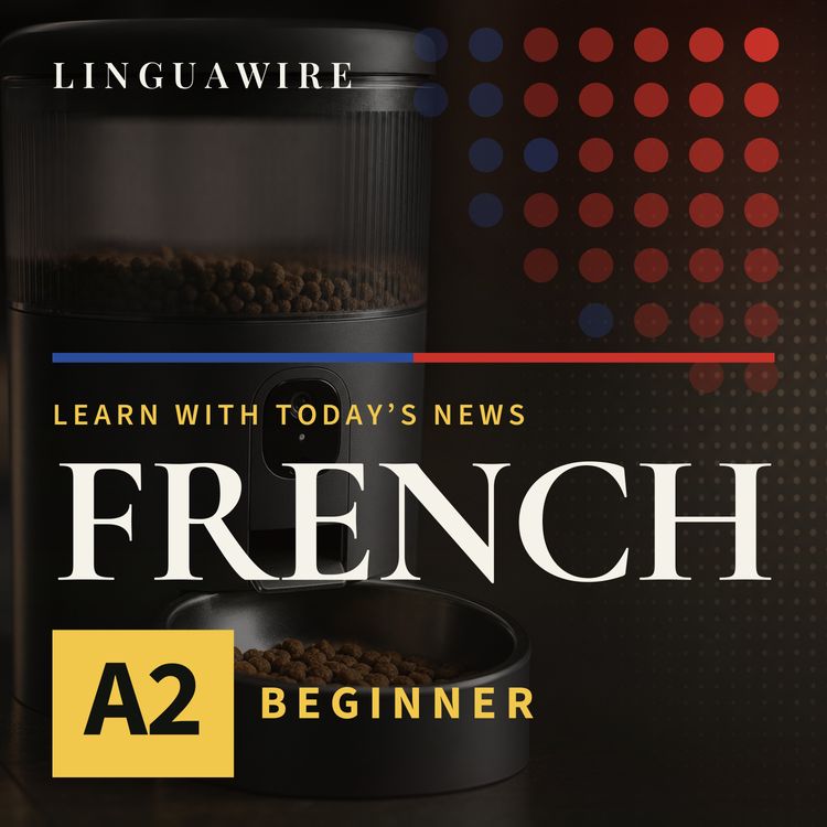 cover art for A2 French News | Can Petlibro Win Back Pet Owners After Outage?
