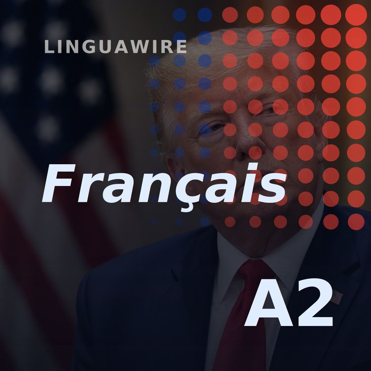 cover art for A2 French News | Will Trump Put New Controls on AI?