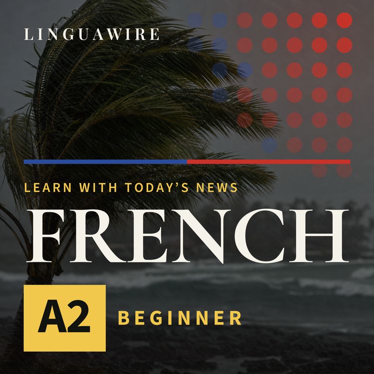 cover art for A2 French News | Hawaii Faces Flooding After Lala Weakens