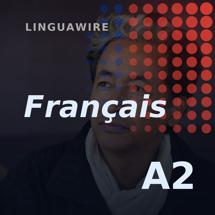 cover art for A2 French News | India Activist Ends Hunger Strike After 26 Days