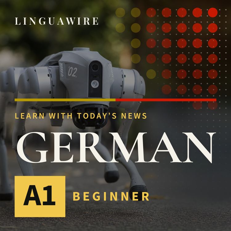 cover art for A1 German News | Why a $4,000 Robot Dog Turns Heads