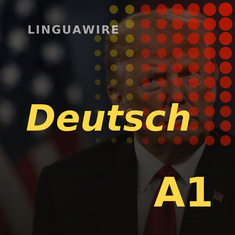 cover art for A1 German News | Trump Hits Canada with 50% Tariffs