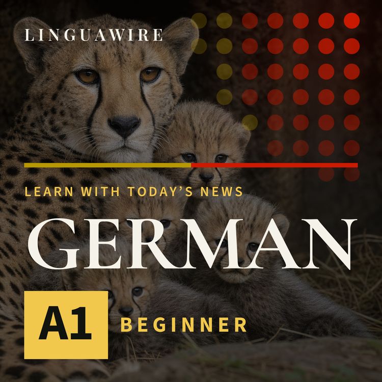 cover art for A1 German News | How Five Cheetah Cubs Survived a Difficult Start