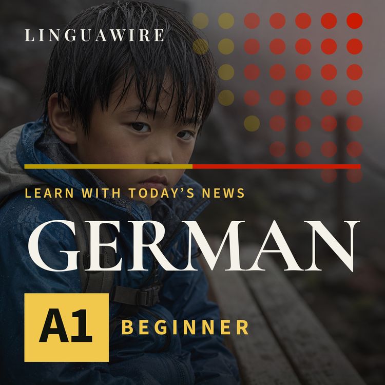 cover art for A1 German News | Why Was a 7-Year-Old Left on Mount Fuji?