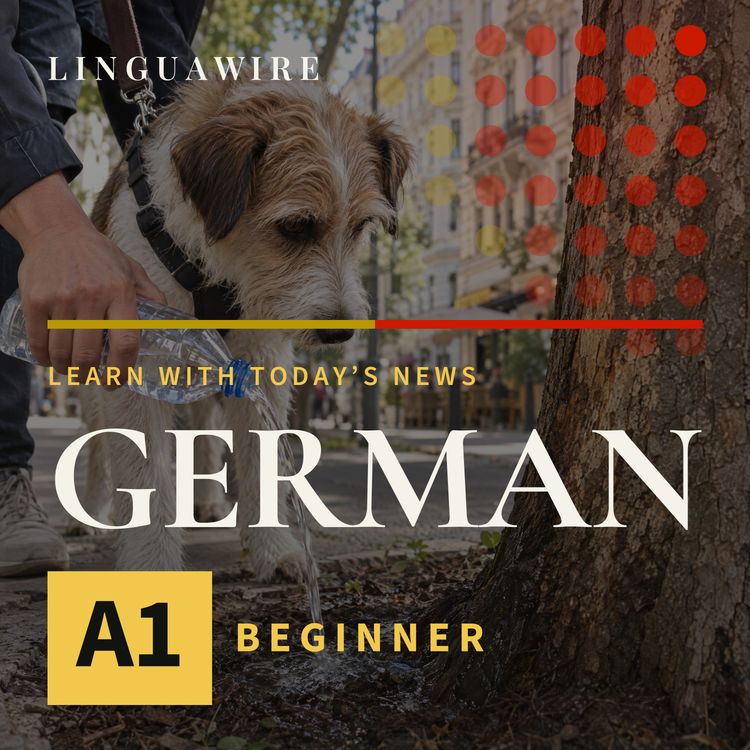 cover art for A1 German News | Why Vienna Dog Owners Need Water Bottles
