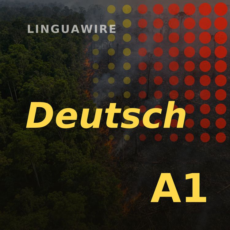 cover art for A1 German News | Brazil's Amazon Burns Far Less in 2025
