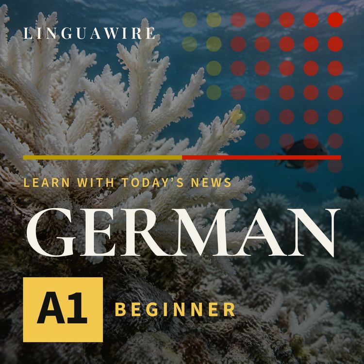cover art for A1 German News | Coral Reefs Face a Major Threat by 2075