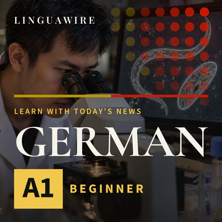 cover art for A1 German News | Why Vietnam Has a New Microscopy Video Winner