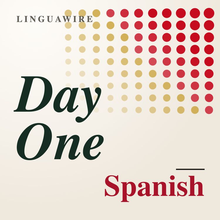 cover art for Day 1: The new president is a lawyer