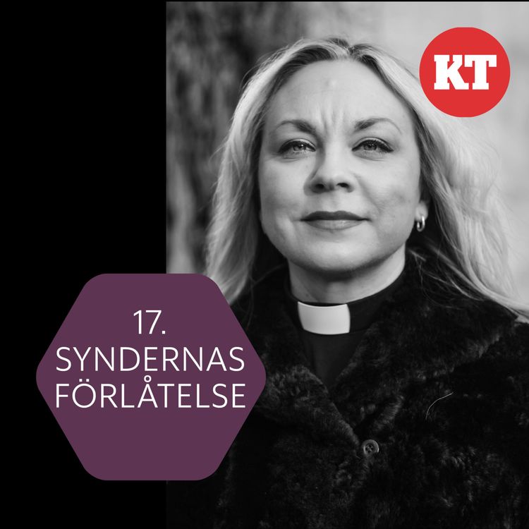 cover art for Syndernas förlåtelse