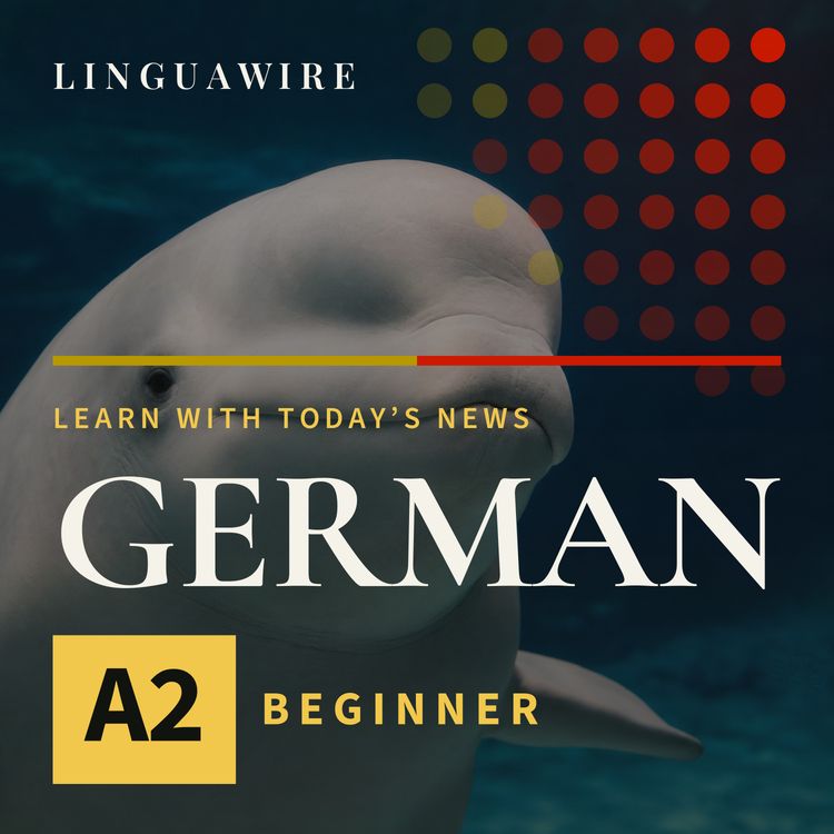 cover art for A2 German News | Seven Beluga Whales Arrive in Texas