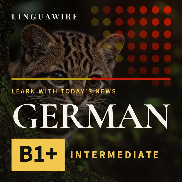 cover art for B1 German News | New Cat Species Found After 100 Years