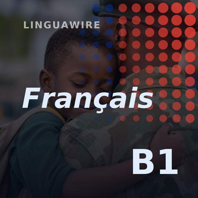 cover art for B1 French News | Freed After Nigeria's Rescue Operation