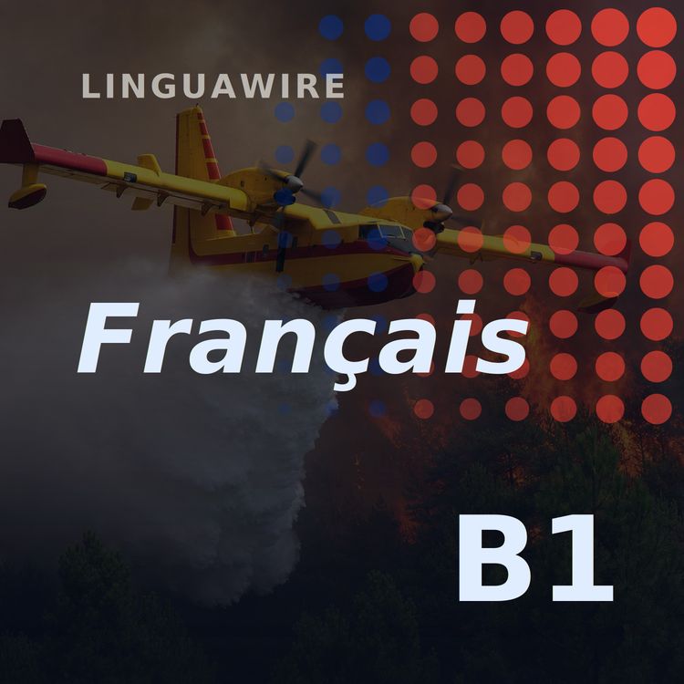 cover art for B1 French News | Hectares Burn as Fire Near Paris Spreads