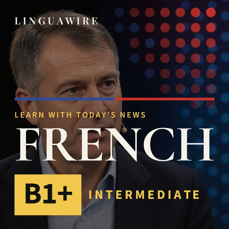 cover art for B1 French News | Can AI Cure Cancer if Chips Run Short?