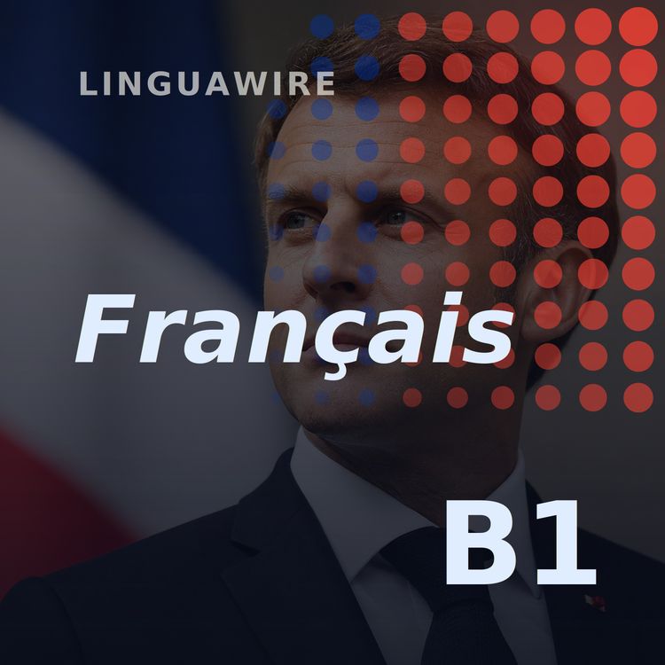 cover art for B1 French News | France Bans Social Media for Under-15s