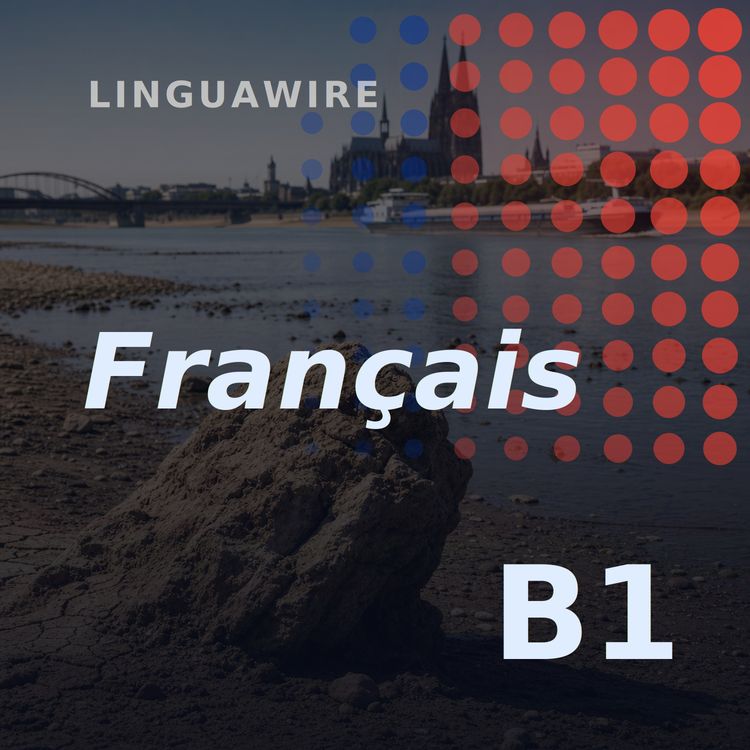 cover art for B1 French News | Rhine Falls to Record Low Levels