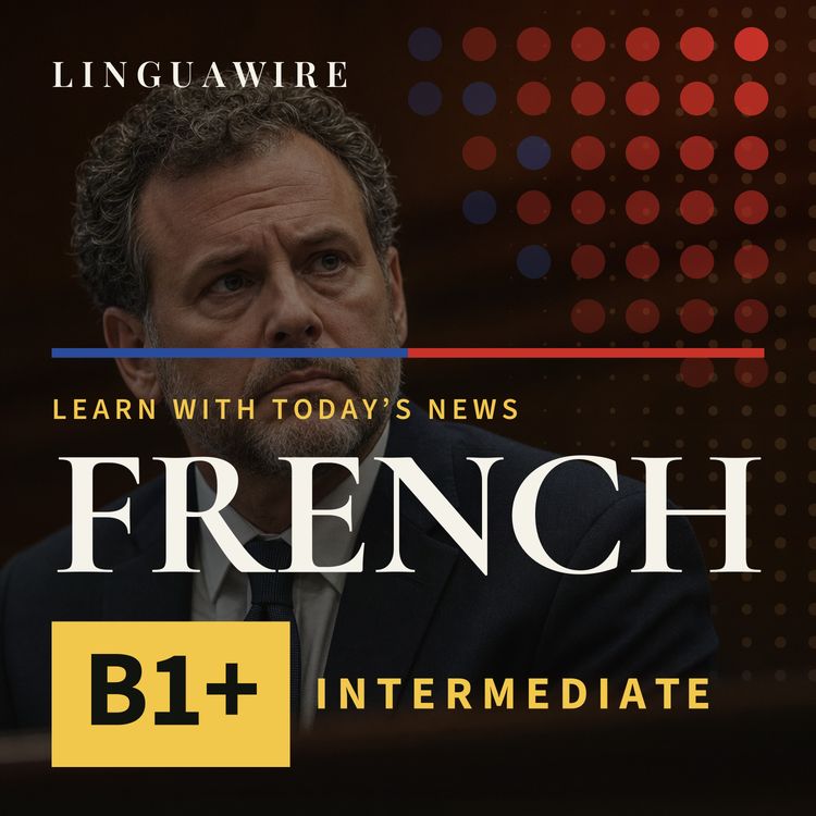 cover art for B1 French News | Lawyer Fined for Using ChatGPT in Murder Case