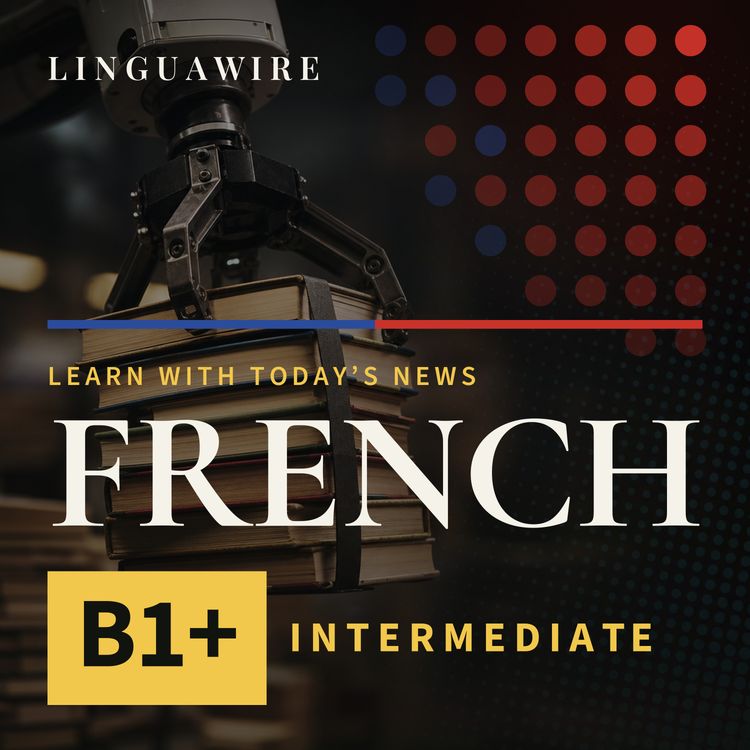 cover art for B1 French News | Why Are Secondhand Books Selling in Bulk?