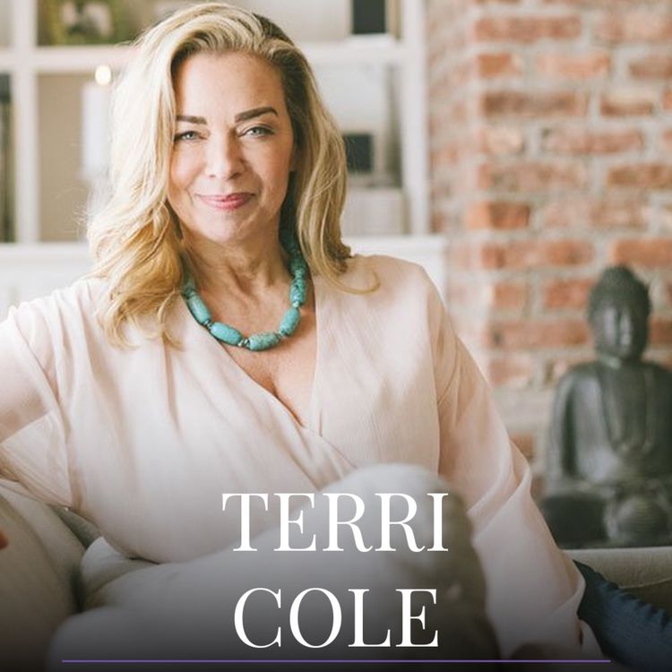 cover art for Terri Cole: Boundary Boss