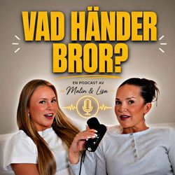cover art for Vad händer bror? 