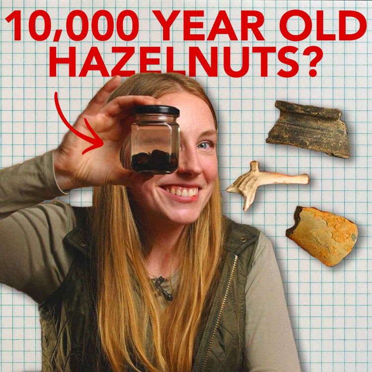 cover art for I'm an archaeologist and these are 5 of my favourite finds