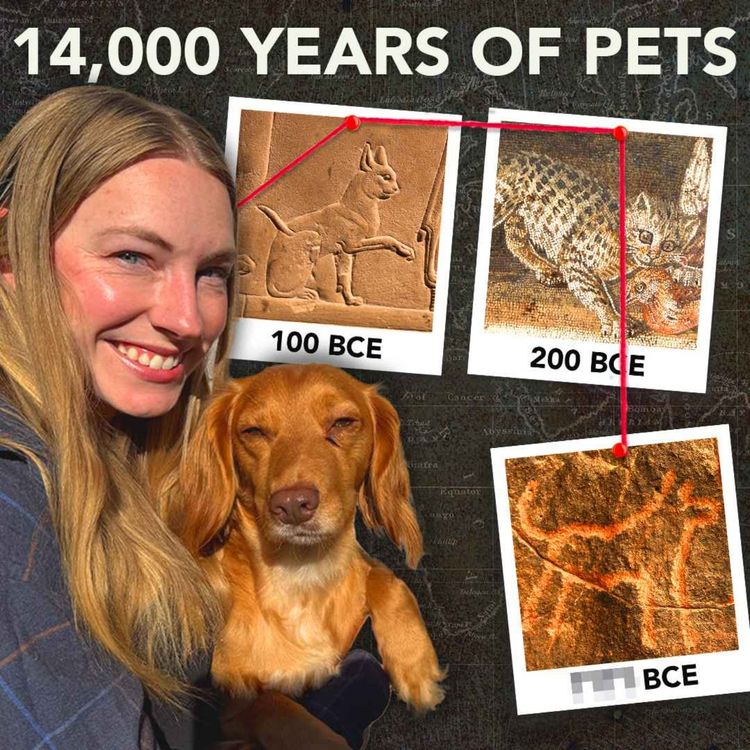cover art for The Archaeological History of Pets