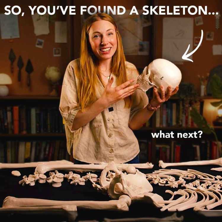 cover art for How archaeologists analyse human remains