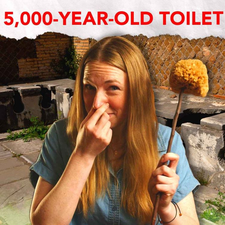 cover art for What's the oldest toilet ever discovered by archaeologists?
