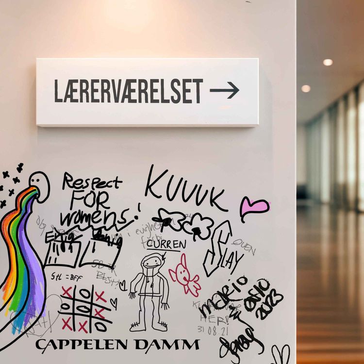 cover art for «Det finnes ikke en eneste 17-åring som skriver sånn»