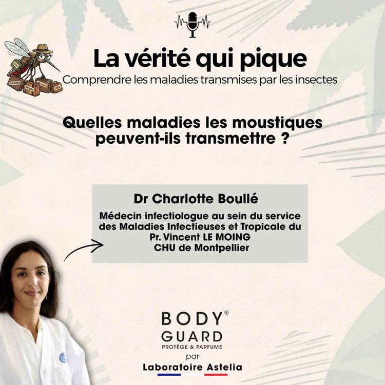 cover art for Quelles maladies les moustiques peuvent-ils transmettre ?