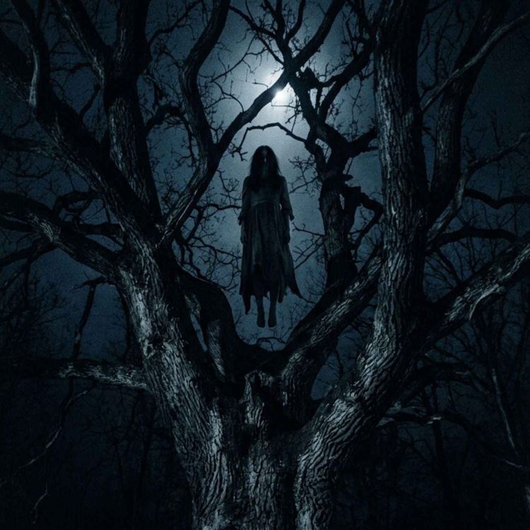 cover art for Hidden