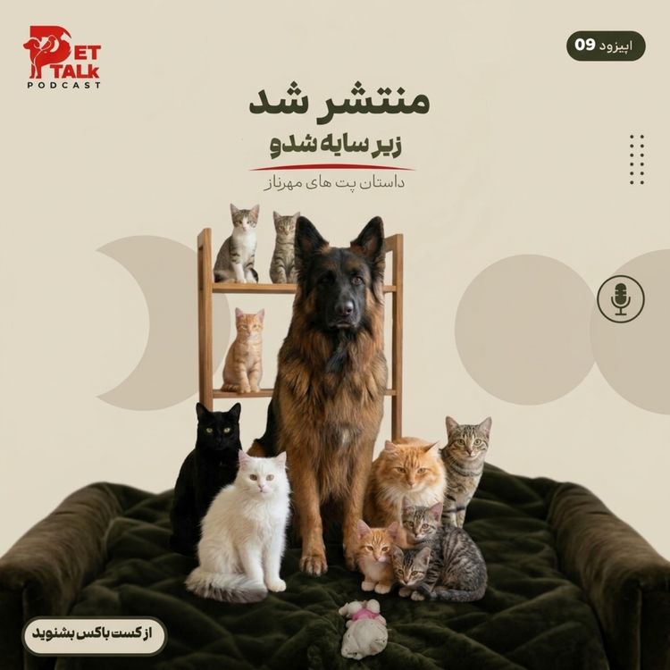 cover art for پت تاک | زیر سایه شدو