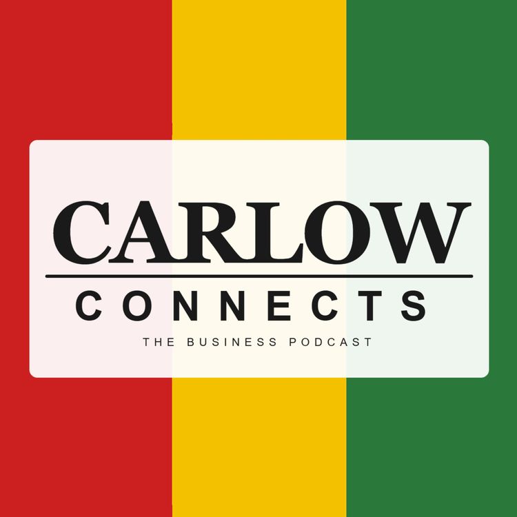 cover art for Carlow Connects, Episode 2 w/ Ciara Stanley (Coppenagh House Farm, Ardattin Embroidery & more)